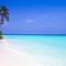 Safari Island
