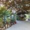 Leyad Hashmura Lodging