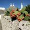 Bed & Breakfast La Collinetta