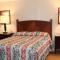 Royale Coach Motor Lodge - 汉普顿