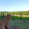 Podere Chiasso Gherardo - 佩乔利区