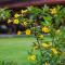 Shambaling Boutique Hotel