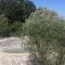 B&b Cinque Stalle