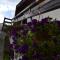 Apartment Sijakovic - Mokra Gora