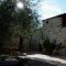 La Rimbecca Greve in Chianti - Greve in Chianti