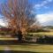 Dillons Cottage - Stanthorpe