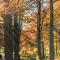 Shire Homestay