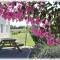 Natur'Hôtel photo 17