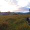 The Wattle Lodge