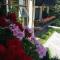 Park Hotel Izvorite