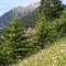 Gasthof Bergblick