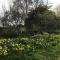 Garden Studio for Two - Doune