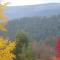 Goldberryaccommodation