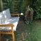 Bed & Breakfast Faas - Wittlich