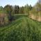 Apartament ALINA