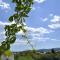 Foto: Apartments Two Olive Trees 7/90