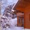 chalets-aravis