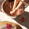 Aelia Wellness Retreat