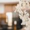 Aelia Wellness Retreat
