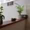 Relaxing apartment Carpe Diem - Split