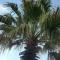 7 on Disa Self-catering Accommodation