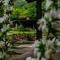 Guest House Verbena