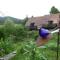 Alsace Village