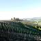 Domus Langhe B&B - Treiso