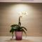Apartment Andrija