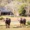 Botlierskop Bush Villas