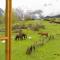 Peak Mazeri Guest House