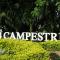 Club Campestre de Neiva