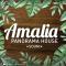 Amalia Panorama House - Zanaja