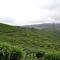 Ferndale Homestay