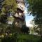 Storchennest - Bad Säckingen