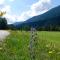 Country House Trata