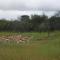 Pondoki Rest Camp - Grootfontein