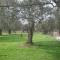 Elea Stone Houses in organic quiet olive grove, Prinos, Thassos - Prinos