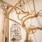 Aelia Wellness Retreat