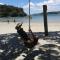 Jakes Place Oneroa Waiheke