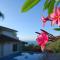 Casa Frangipani