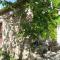 Le Jardin photo 8