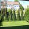 Bamboo Wellness Apartment
