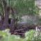 Bosque Divino Cabañas & Suites