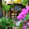 Hotel Villa Mozart y Macondo