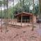 Riddings Wood lodges