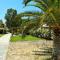 Antonia Beachfront Villa