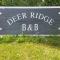 Deer Ridge B&B