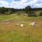 The Sheep Inn B&B - Arvika