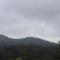 31st December Farms And Estates Munnar